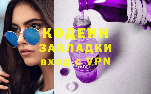 2c-b Инсар