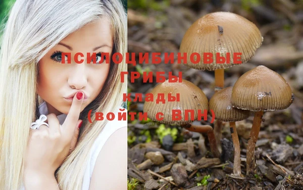 дурь Зеленокумск