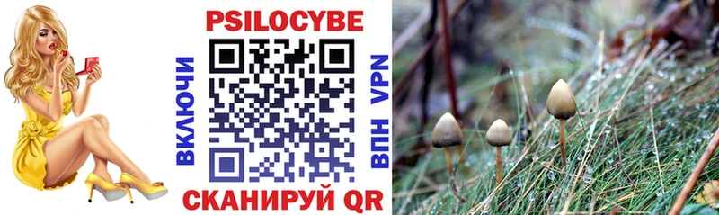 Галлюциногенные грибы мицелий OMG как войти Полтавская цены